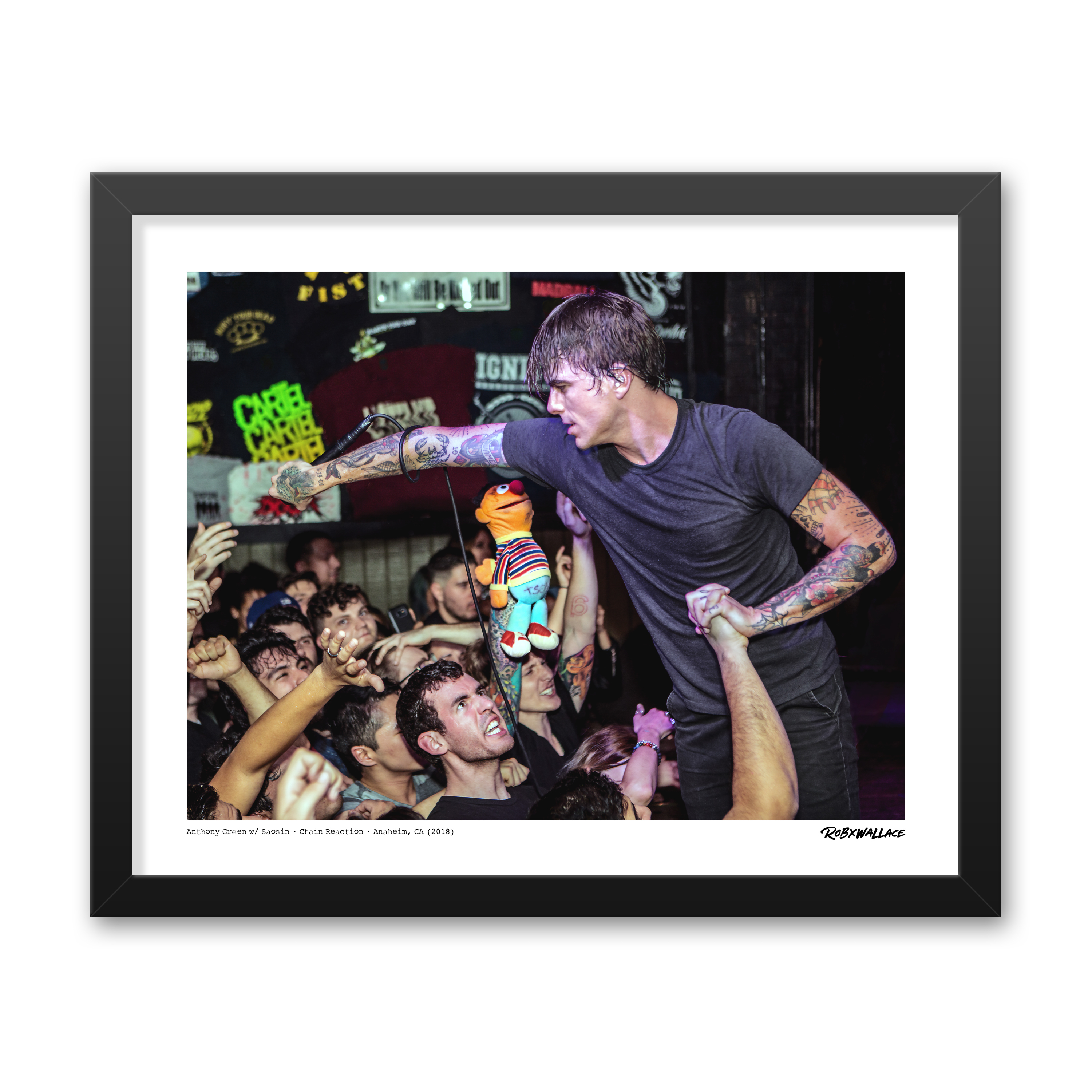 Close-up view of a 16x20 framed live concert photo print the emotion of Anthony Green screaming lyrics on stage during the Saosin World Tour of Anaheim.