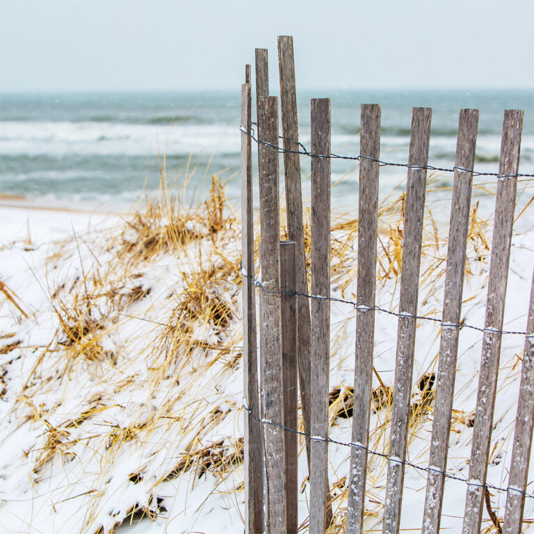 Rustic wire sand fence and winter beach dunes in Montauk, New York, from Eternal Sunshine of the Spotless Mind by Rob Wallace.