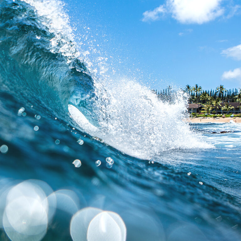 Maui - Fine Art Graphic Design by RobxWallace