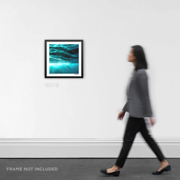 18x18 square framed underwater ocean Graphic Design print clear aqua-blue water at Casino Point on Catalina Island, displayed as coastal wall decor for scale.