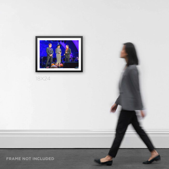 Danny Elfman at Hollywood Bowl - Punk Rock Graphic Design by RobxWallace