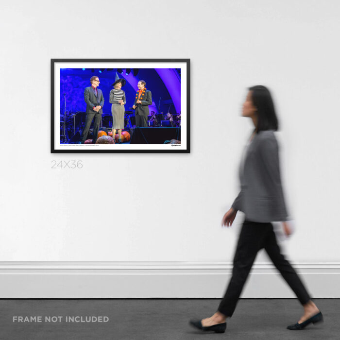 Danny Elfman at Hollywood Bowl - Punk Rock Graphic Design by RobxWallace