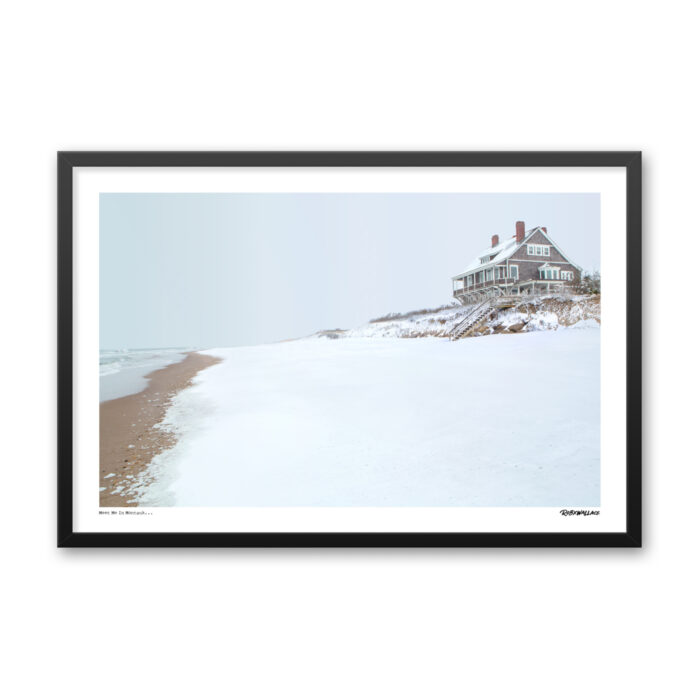 Close up of 24x36 Eternal Sunshine of the Spotless Mind poster print featuring Joel and Clementine's February winter beach house.