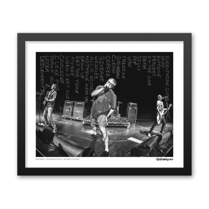Detailed close up of a 16x20 framed melodic hardcore fine art print featuring the Descendents performing their classic setlist live at the Hollywood Palladium.