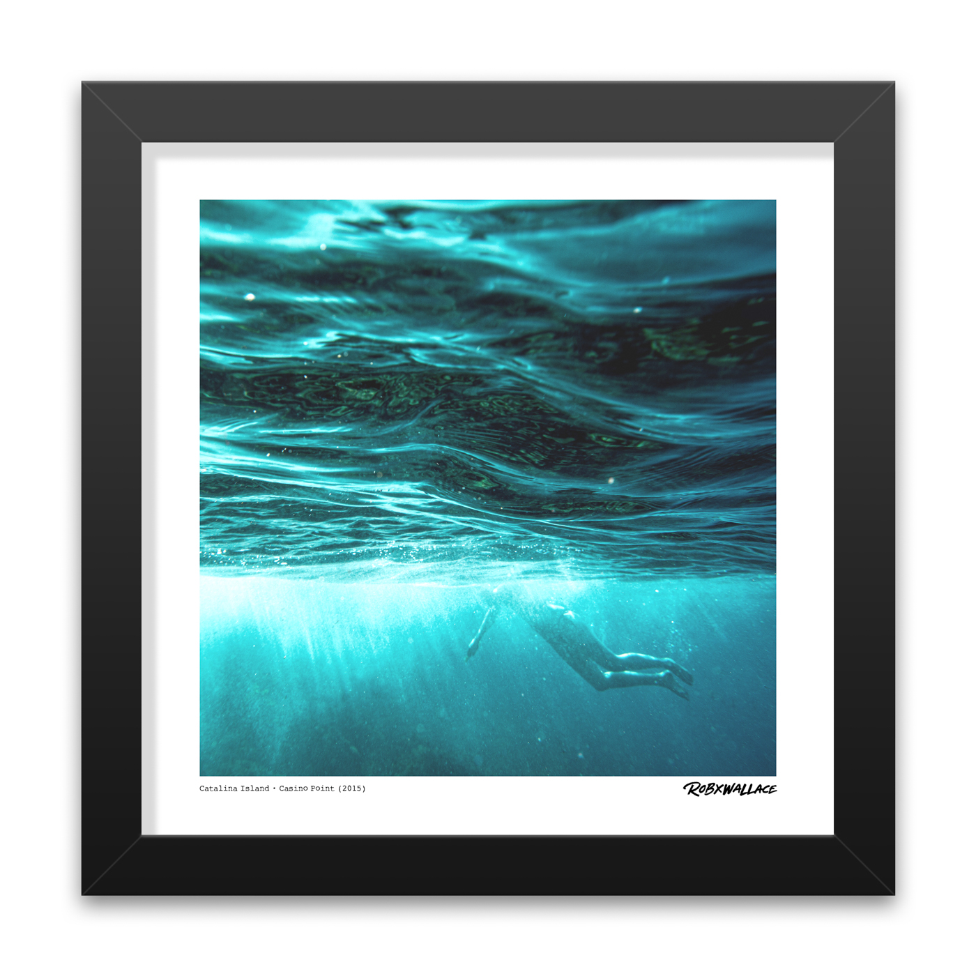 Catalina Island, CA - Image 5