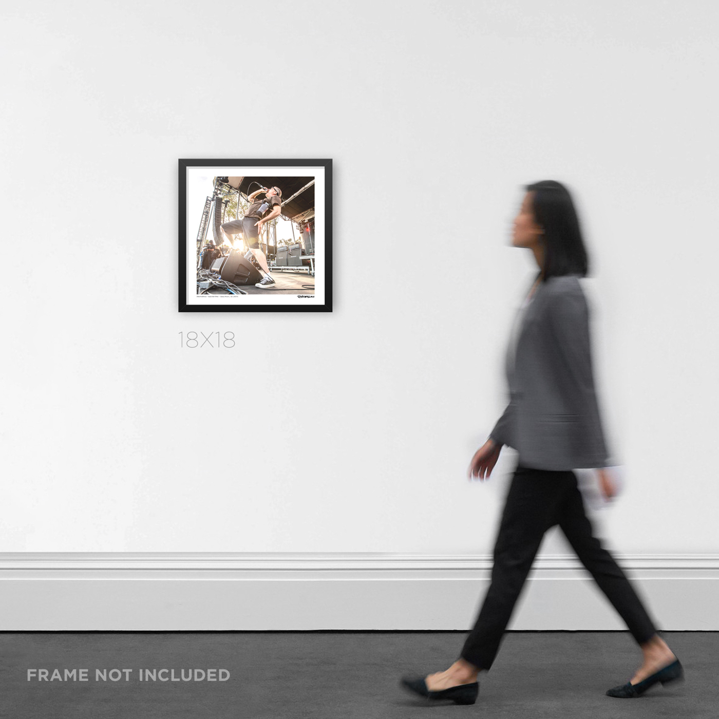 Descendents - Image 6