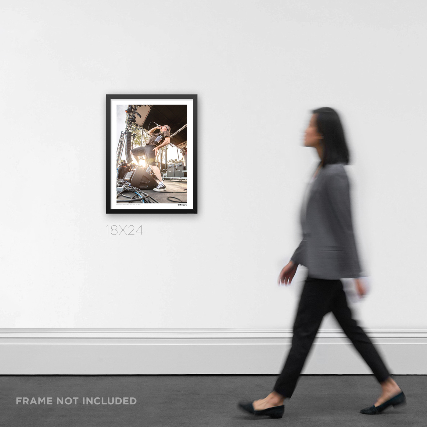 Descendents - Image 4