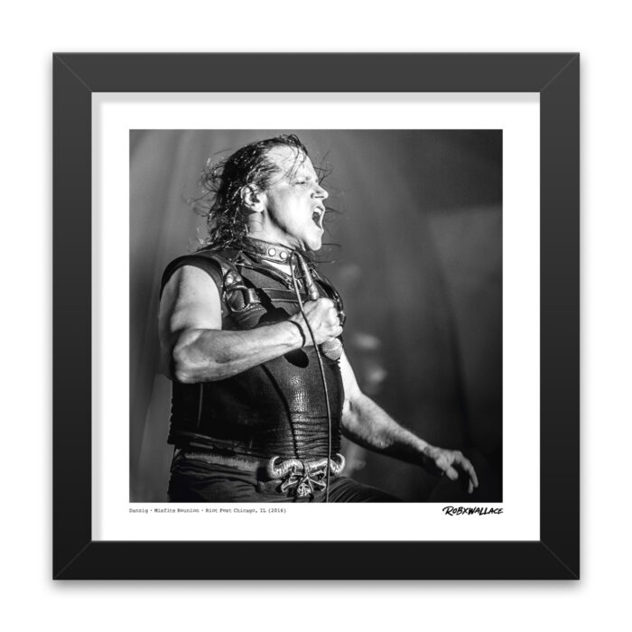 Close up view of a 12x12 square framed horror punk poster print frontman Glenn Danzig performing live at the historic 2016 Riot Fest reunion in Chicago.