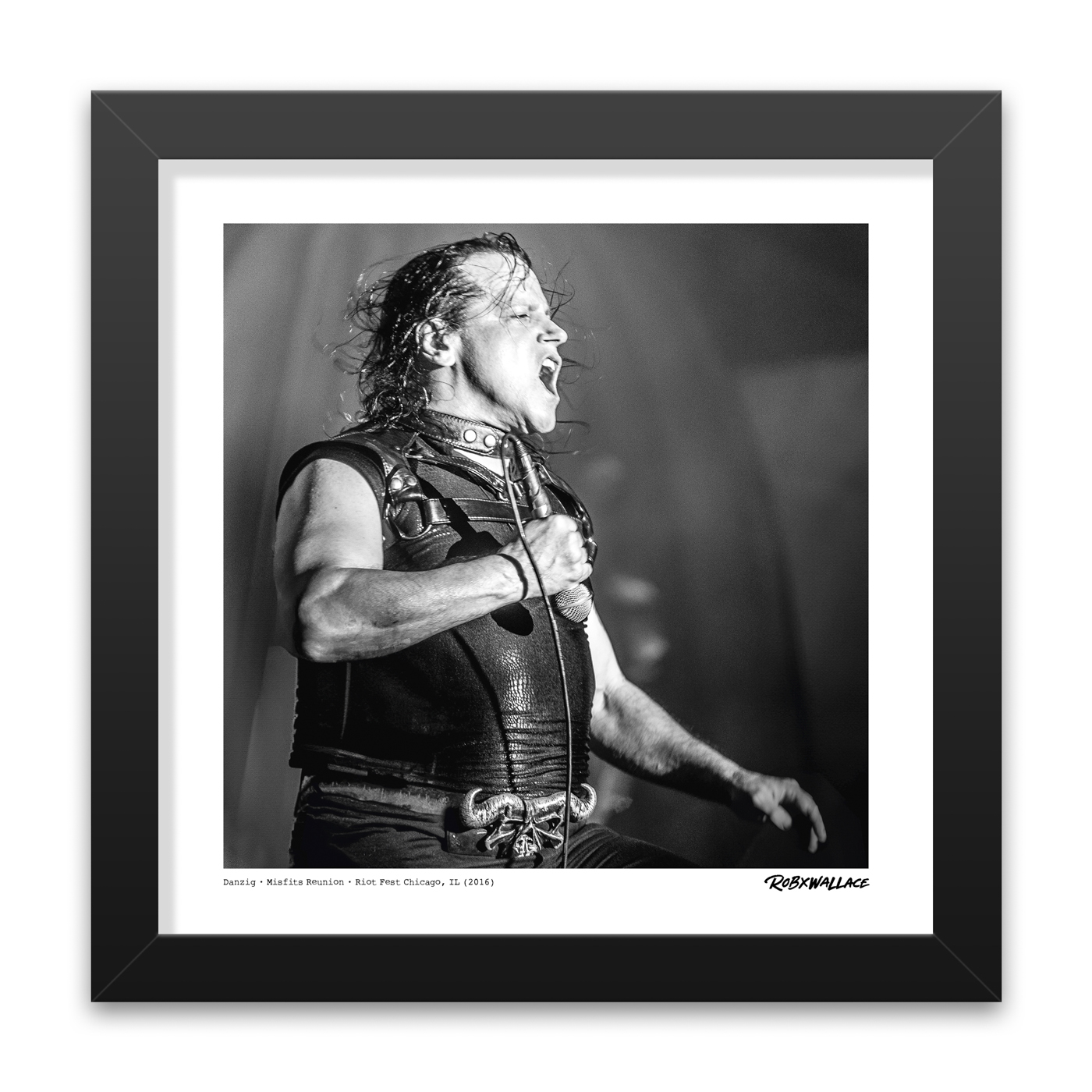 Close up view of a 12x12 square framed horror punk poster print frontman Glenn Danzig performing live at the historic 2016 Riot Fest reunion in Chicago.