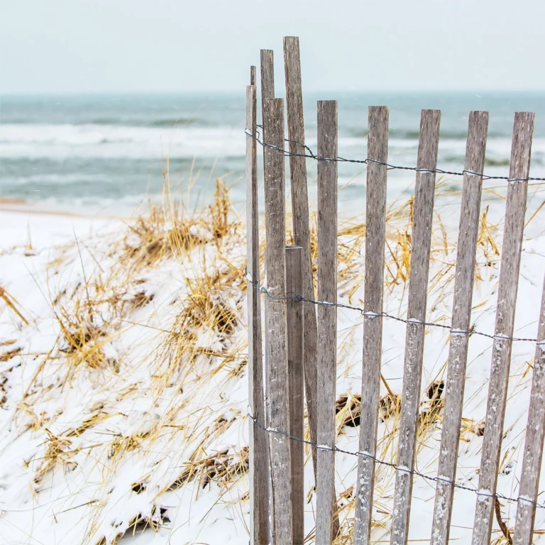 Montauk - Fine Art Graphic Design by RobxWallace