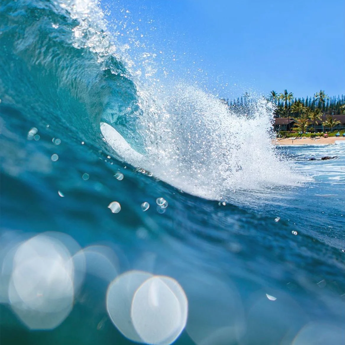 Fine art ocean landscape photography print capturing a vibrant blue crashing wave at Napili Kai in Maui Hawaii by Rob Wallace.